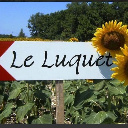 Gite Le Pigonnier Ecogite Le Luquet Saint Beauzeil 82150 מראה חיצוני תמונה